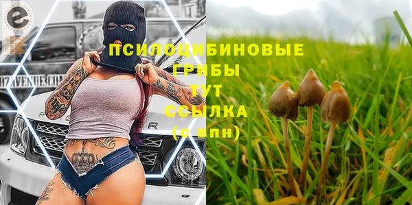 ПСИЛОЦИБИНОВЫЕ ГРИБЫ Бугульма
