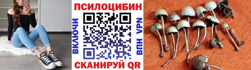 hydra онион  Миллерово  Псилоцибиновые грибы Cubensis 